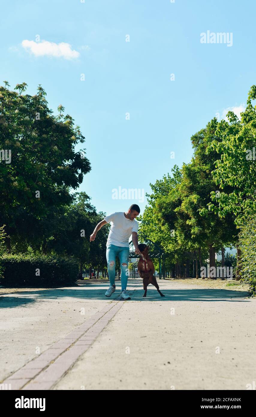 Homme courant et jouant avec son chien Boxer dans un parc Banque D'Images