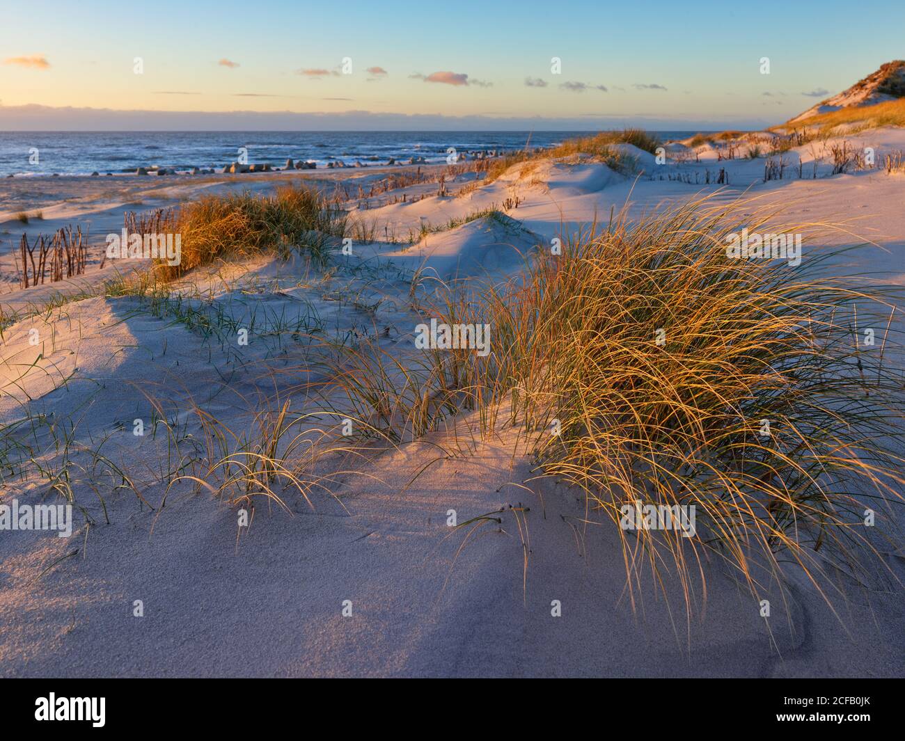 Hörnum-Odde (Hörnum Odde / Hörnem-or), Hörnum (Hörnem / Hørnum), Sylt Paysage, Kreis Nordfriesland, Schleswig-Holstein, Allemagne, Sylt (Söl), Nord Banque D'Images