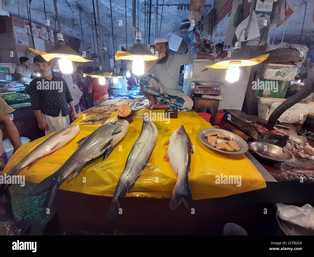 Le poisson est la principale source de protéines animales pour les populations bangladaises. Les vendeurs de poisson vendent des prises de poisson provenant d'eau douce et saumâtre. Banque D'Images