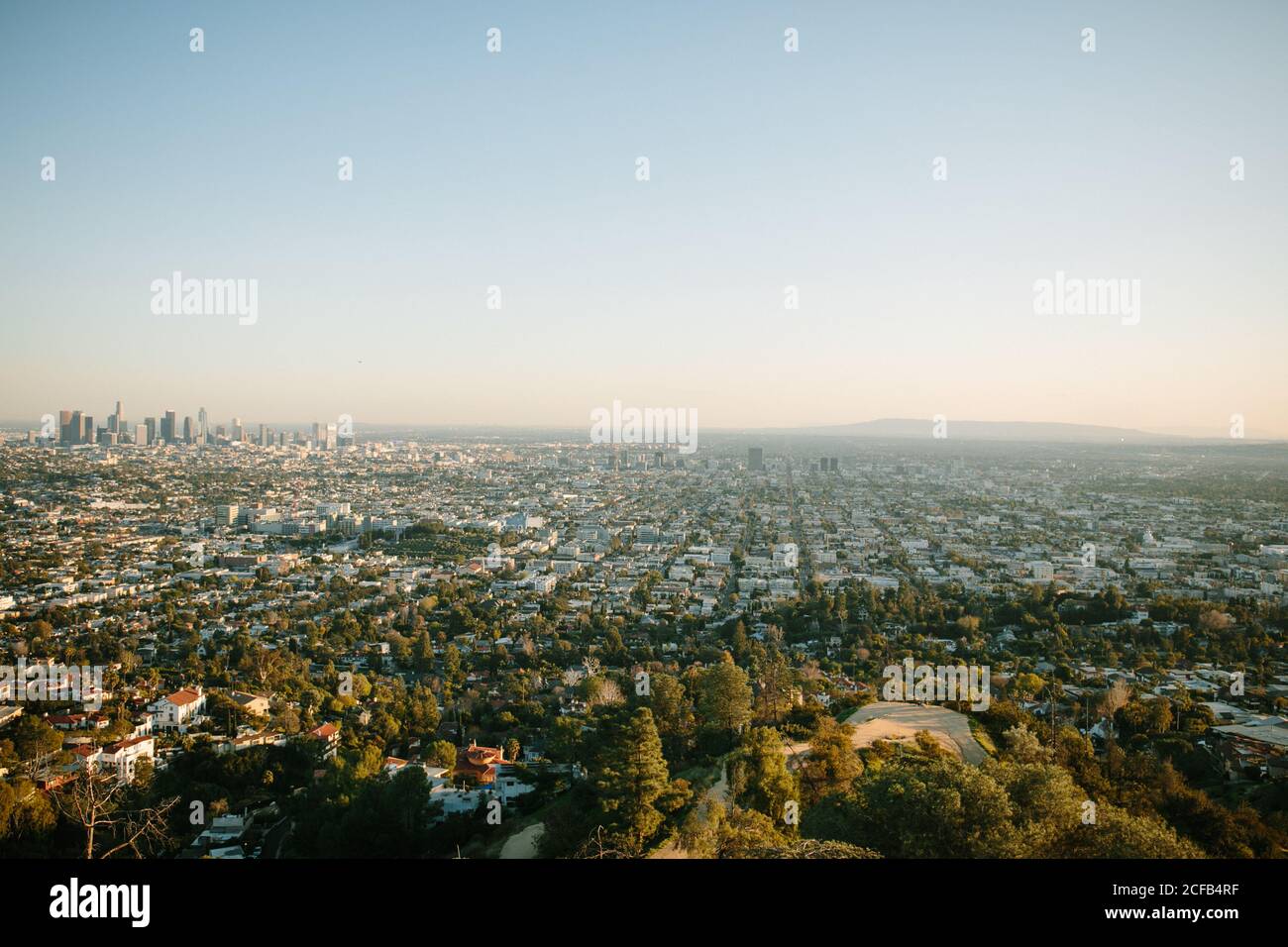 Vue sur les paysages urbains avec des maisons basses parmi les verts  plantes et centre-ville éloigné avec des gratte-ciels modernes contre bleu  clair Ciel en été en Californie Photo Stock - Alamy
