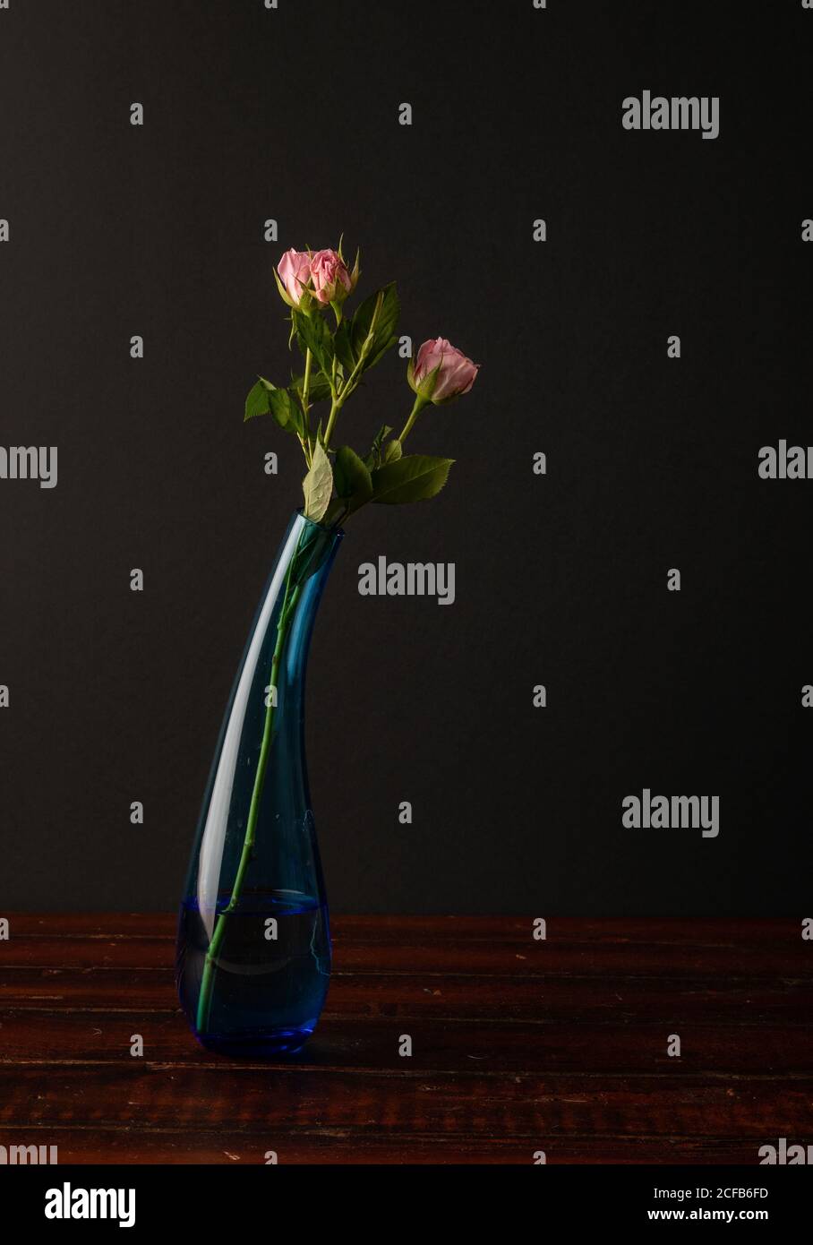 Jolies fleurs roses placées dans un élégant vase en verre sur bois plan d'examen sur fond gris foncé Banque D'Images