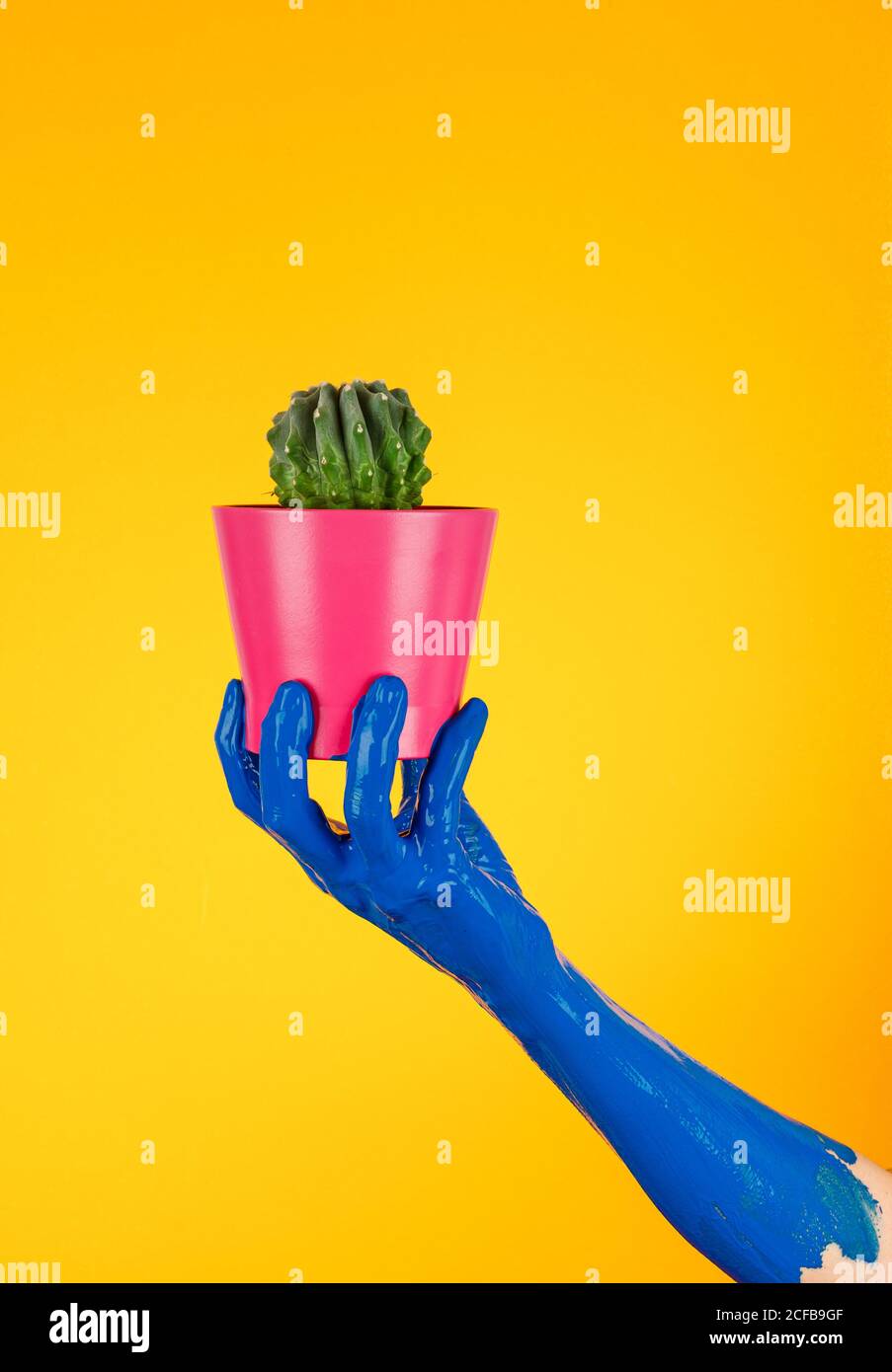 personne sans visage avec main peinte en bleu démontrant pot de fleurs avec vert cactus pickly en studio sur fond jaune Banque D'Images