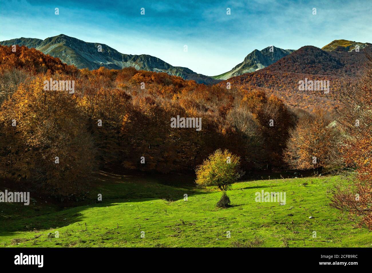 Automne dans les Abruzzes, Lazio e Molise parc national, Vallefiorita avec la montagne destination la Meta Banque D'Images