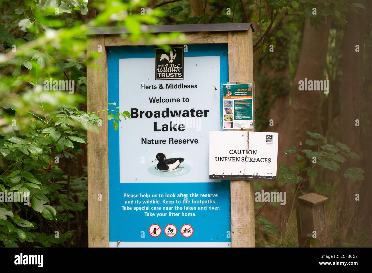 Harefield, Uxbridge, Middlesex, Royaume-Uni. 4 septembre 2020. Les fiducies de faune de Herts & Middlesex signalent que HS2 a maintenant pris possession de la réserve naturelle de Broadwater Lake pour la construction de la liaison ferroviaire haute vitesse HS2 et que l'accès aux lacs par le public ne peut plus être garanti. Un viaduc bisira la réserve naturelle du lac Broadwater. Le site de 80 hectares est réputé à l'échelle nationale pour la diversité des oiseaux des terres humides reproductrices et les fiducies de faune Herts & Middlesex s'inquiètent beaucoup de l'impact que HS2 aura sur les oiseaux et la faune. Crédit : Maureen McLean/Alay Live News Banque D'Images