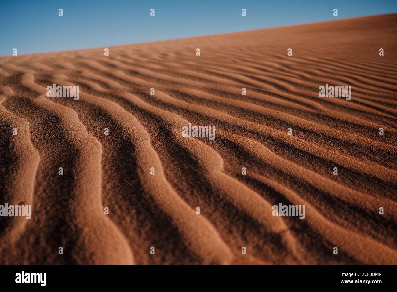 Gros plan surface de sable ondulée sur dune dans désert aride contre Ciel bleu sans nuages au Maroc Banque D'Images
