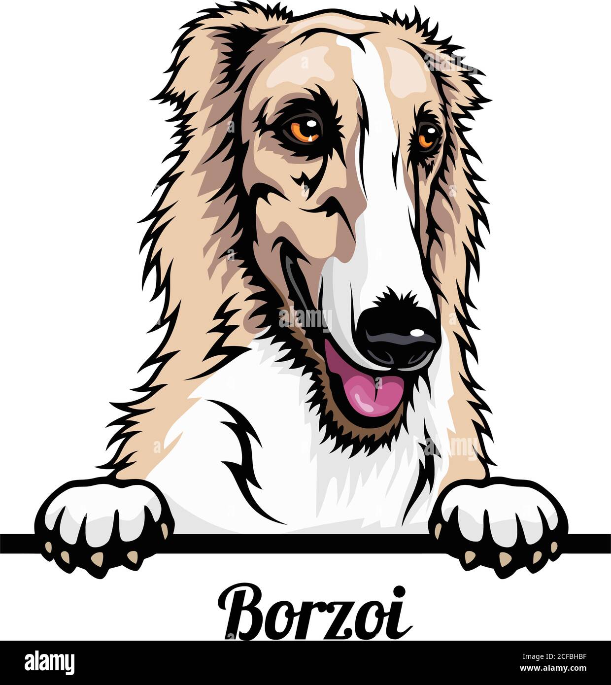 Borzoi - chiens de Pékin de couleur - tête de race isolée sur blanc Illustration de Vecteur