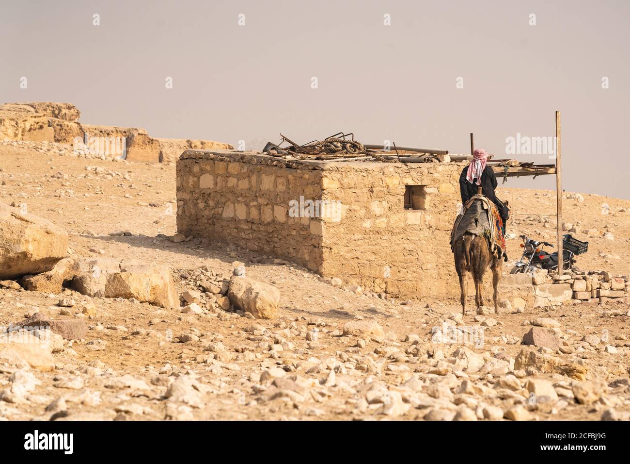 Un homme égyptien se dirige vers une maison à dos de chameau Le désert de Giza Banque D'Images