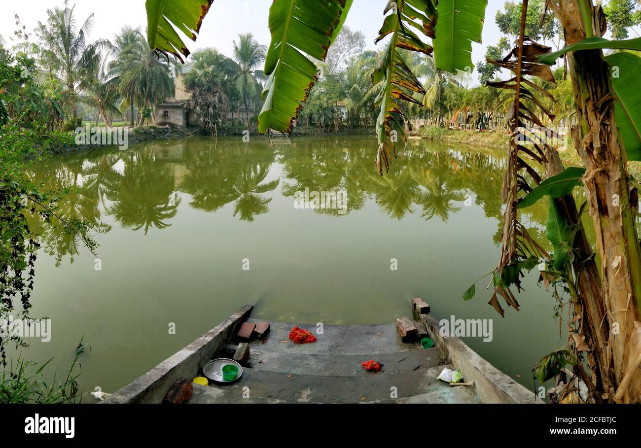 Chaque établissement ou maison dans le bengale occidental a un étang attaché. C'est à Sunderban Lokshiksha Bhawan. Banque D'Images