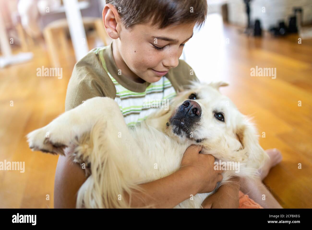 Garçon jouant avec son chien à la maison Banque D'Images
