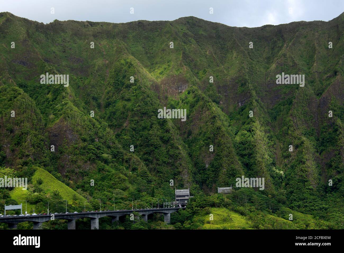 Voitures en ligne pour subir des essais de masse COVID-19 effectués sur l'autoroute H3, Kaneohe, Oahu, Hawaii, États-Unis Banque D'Images