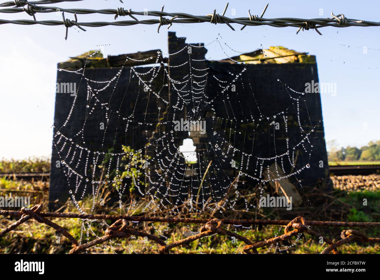 toile d'araignée sur la clôture latérale de la voie devant la cabane abandonnée Banque D'Images