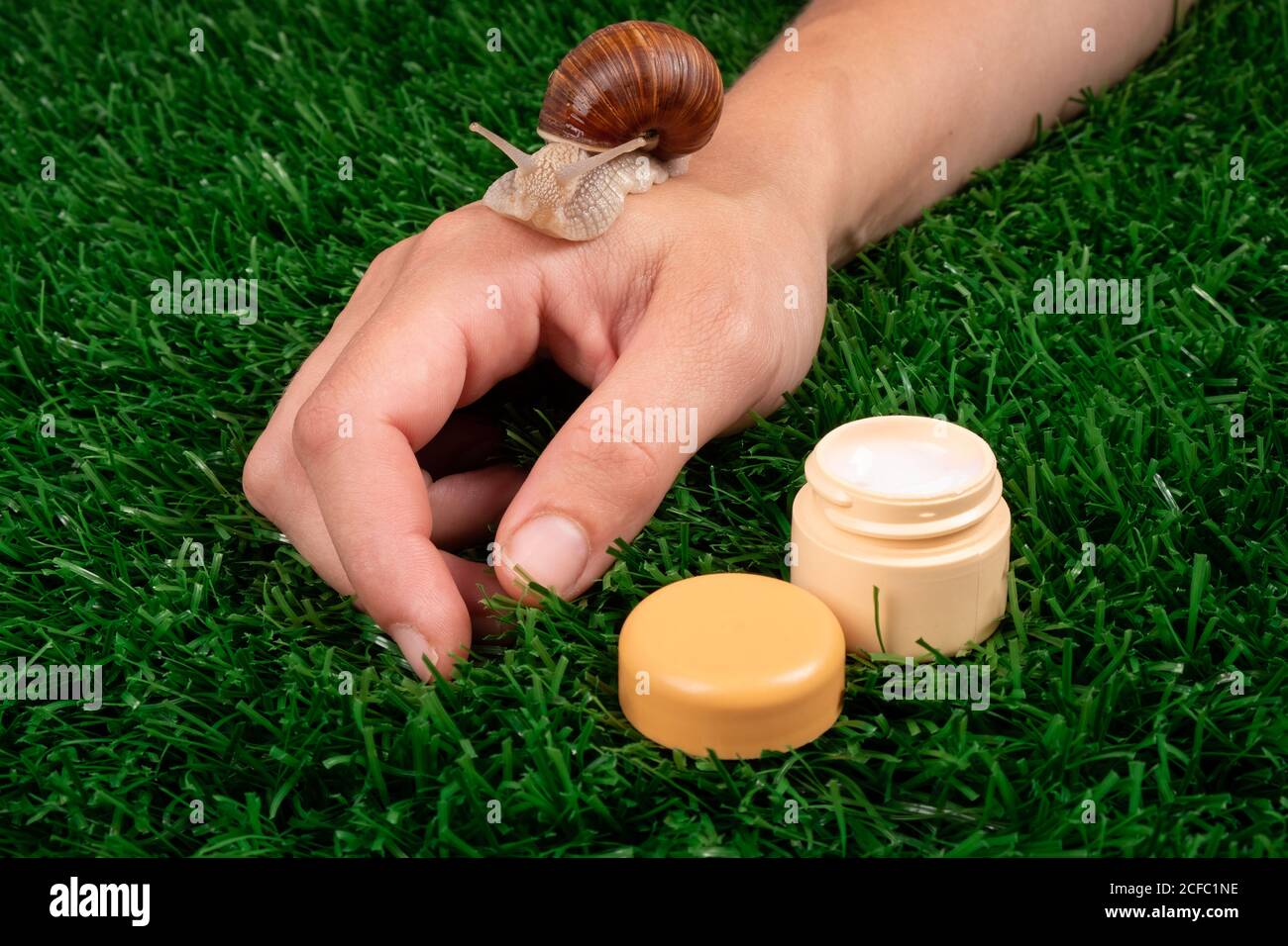 beauté, crème hydratante pour les mains avec mucine d'escargot, soins de la peau, cosmétiques de soins du corps sur l'herbe verte. Banque D'Images