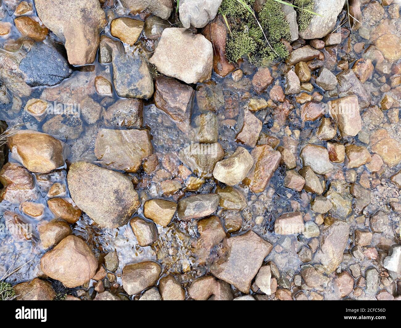 Différentes roches de rivière sous l'eau avec la papillon Banque D'Images