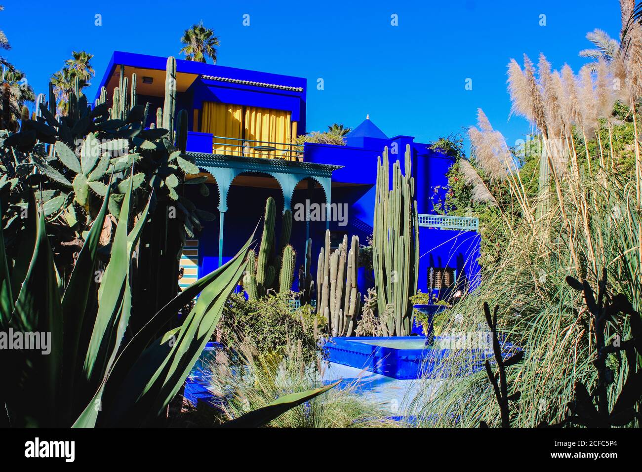 Jardin Yves Saint Laurent Musée Marrakech, jardin de palmiers Banque D'Images