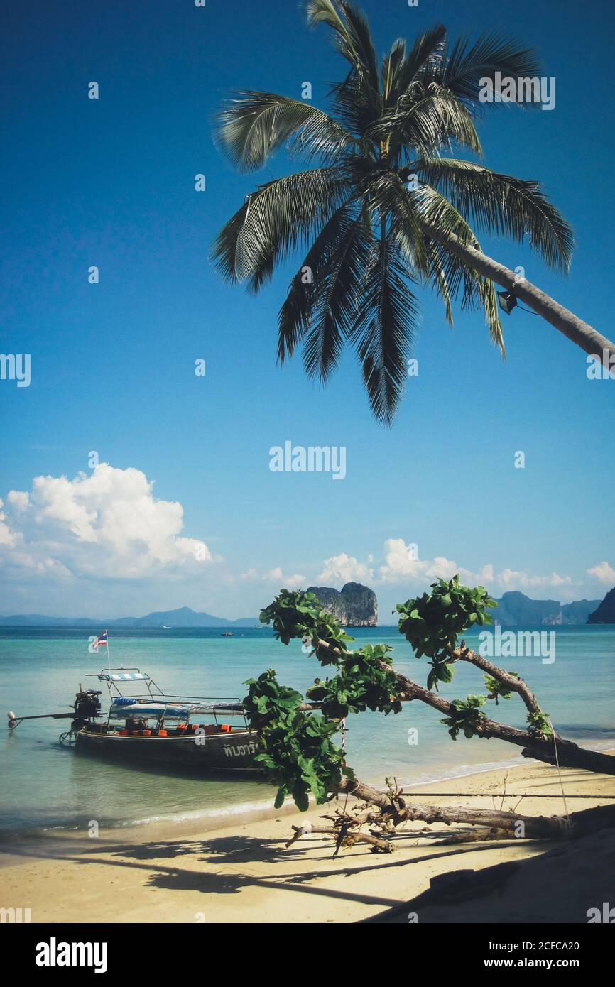 Paysage pittoresque de Thaïlande plage avec eau turquoise et bateau dans l'eau peu profonde contre les palmiers Banque D'Images