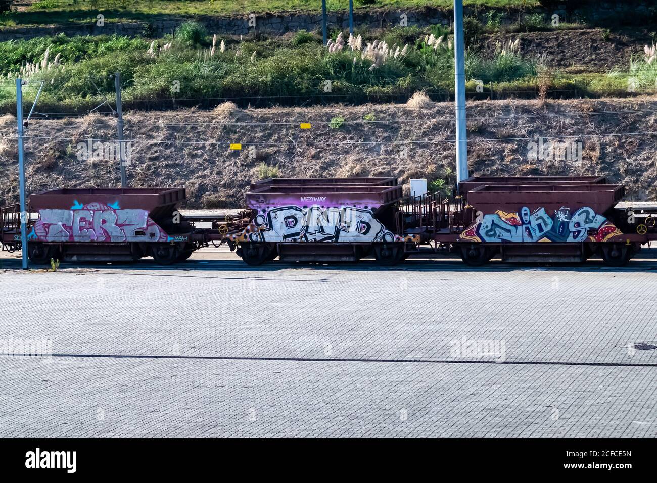 Street art graffiti sur les wagons de transport au Portugal, gare d'aveleda. Banque D'Images