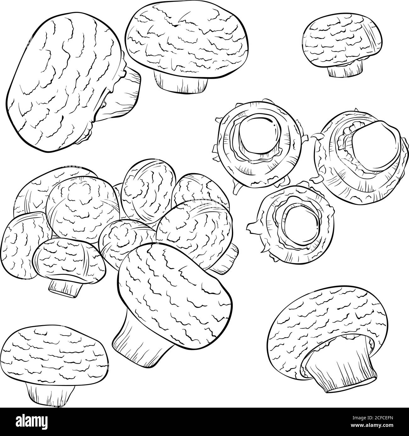 art mushroom banque d images vectorielles alamy coloriage de moto