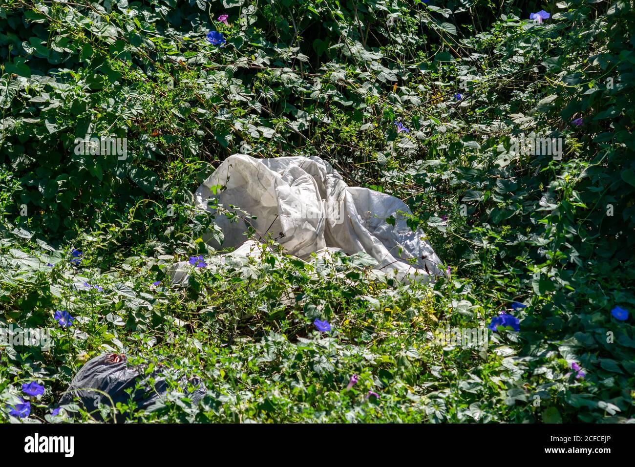 Big Plastic a été abattu sur la bordure de la rivière à Ponte do Bico, Braga Portugal Banque D'Images