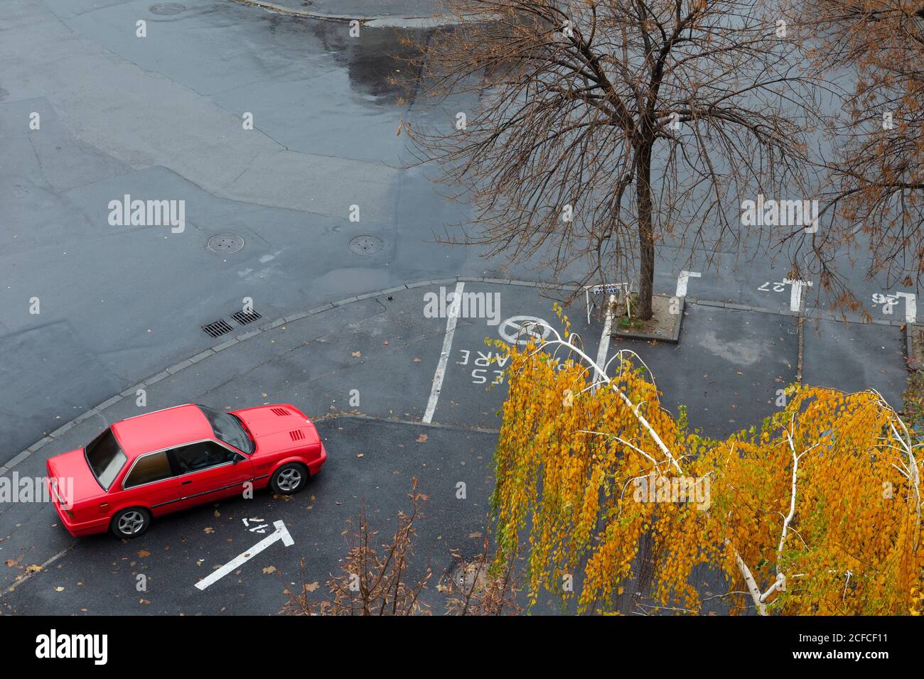 Au-dessus de la vue de la rue sans personnes avec voiture rouge et chute d'arbres dans le cadre Banque D'Images