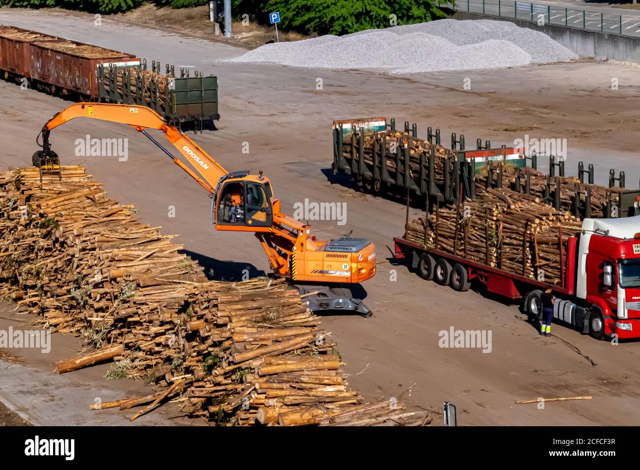 Transport des grumes de l'industrie du bois et du papier avec élévateur et camion. Travaux lourds collectant les journaux d'un camion. Banque D'Images