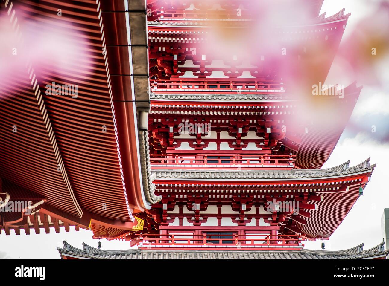 La pagode de 5 étages à Sensō-ji vue à travers les cerisiers en fleurs ressort Banque D'Images