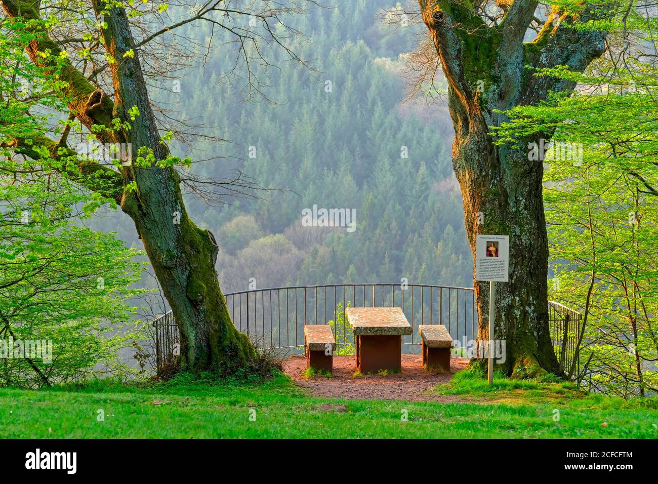 Elisensitz à Kastel-Staadt, vallée du Saar, Rhénanie-Palatinat, Allemagne Banque D'Images