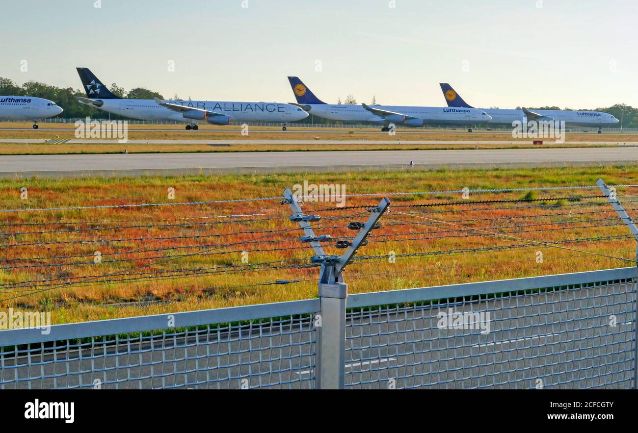 Avion stationné de Lufthansa, corona pandémie, aéroport de Francfort, Hesse, Allemagne Banque D'Images