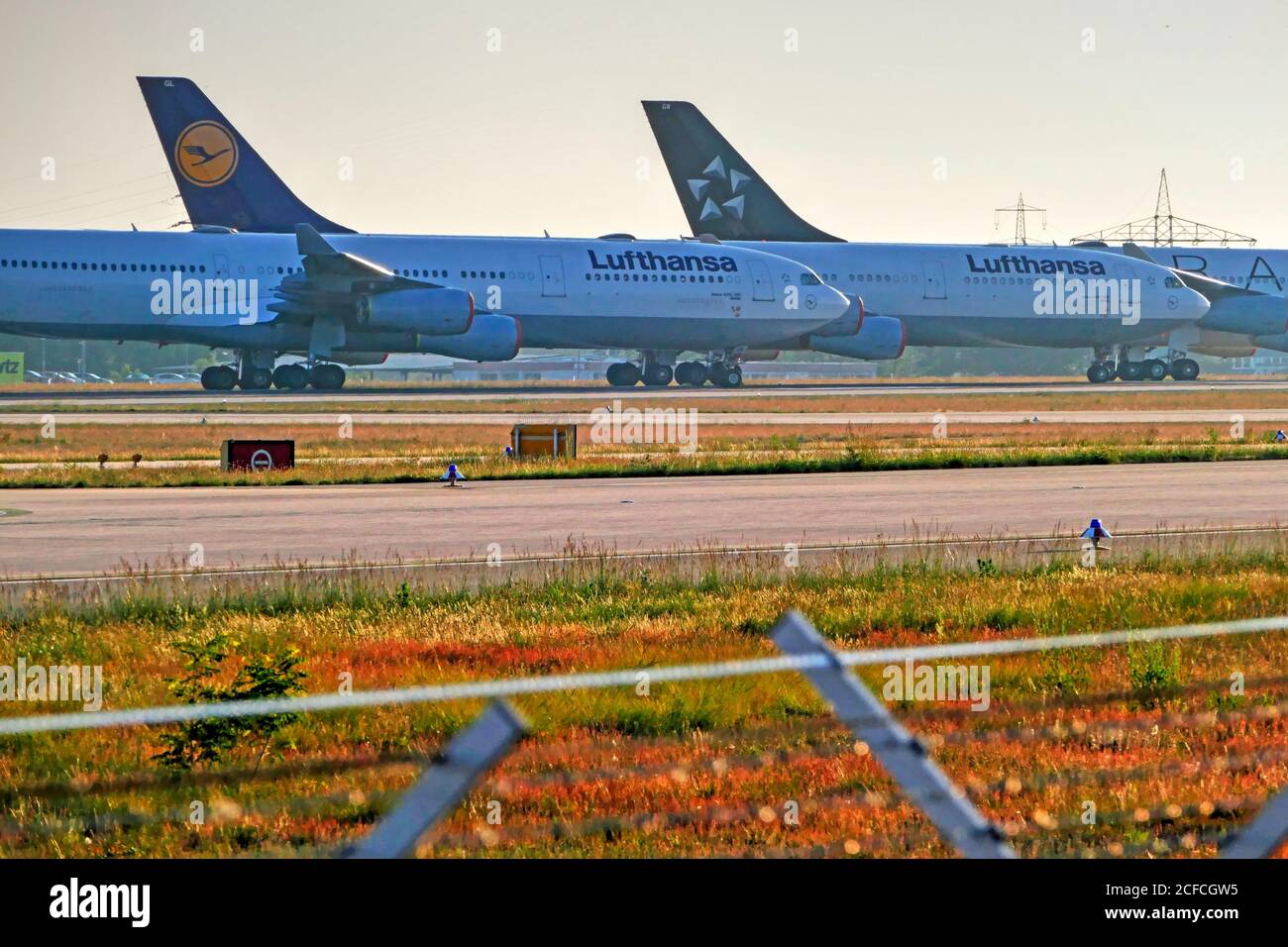 Avion stationné de Lufthansa, corona pandémie, aéroport de Francfort, Hesse, Allemagne Banque D'Images