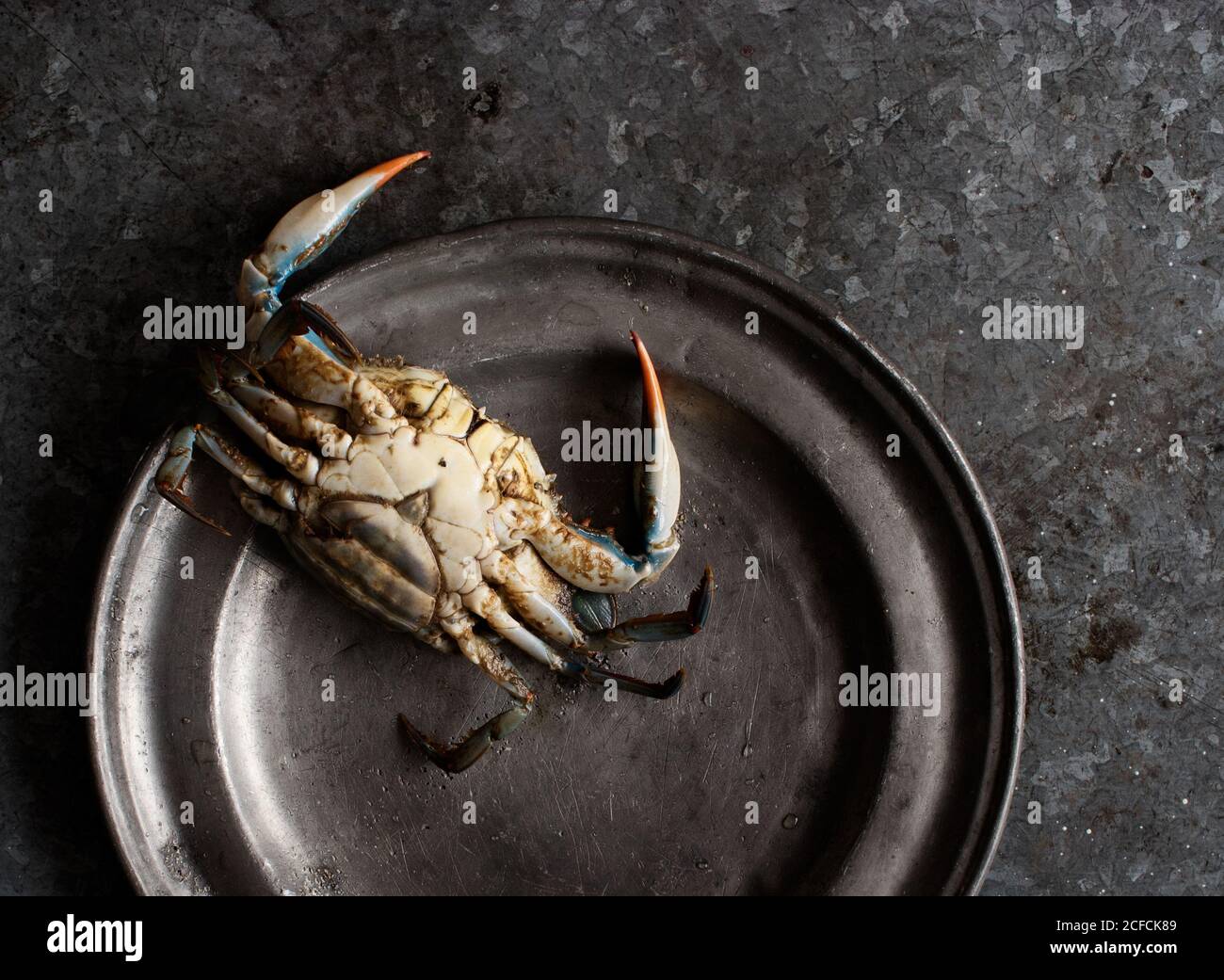 De dessus crabes placés sur une plaque de métal sur foncé arrière-plan Banque D'Images