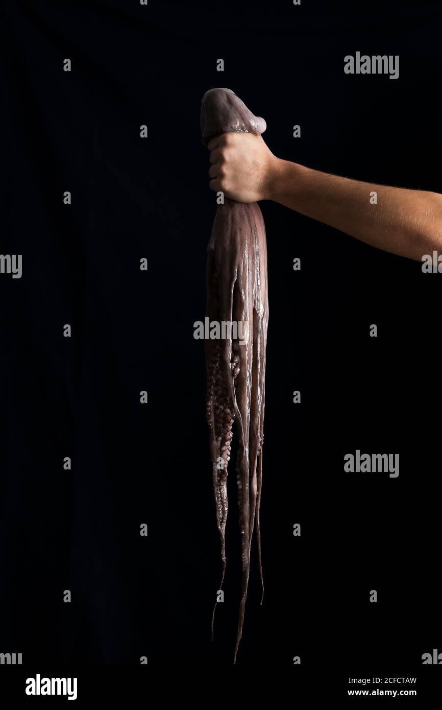 Gros poulpe gris, mince, à la main, sur fond noir Banque D'Images