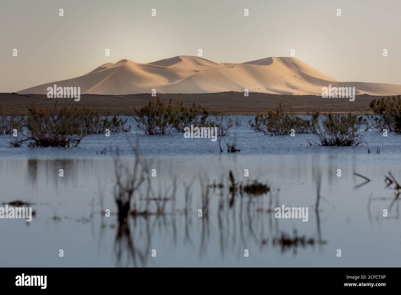 Surface de l'eau près de la rive avec dune de montagne sablonneuse dans le désert Banque D'Images
