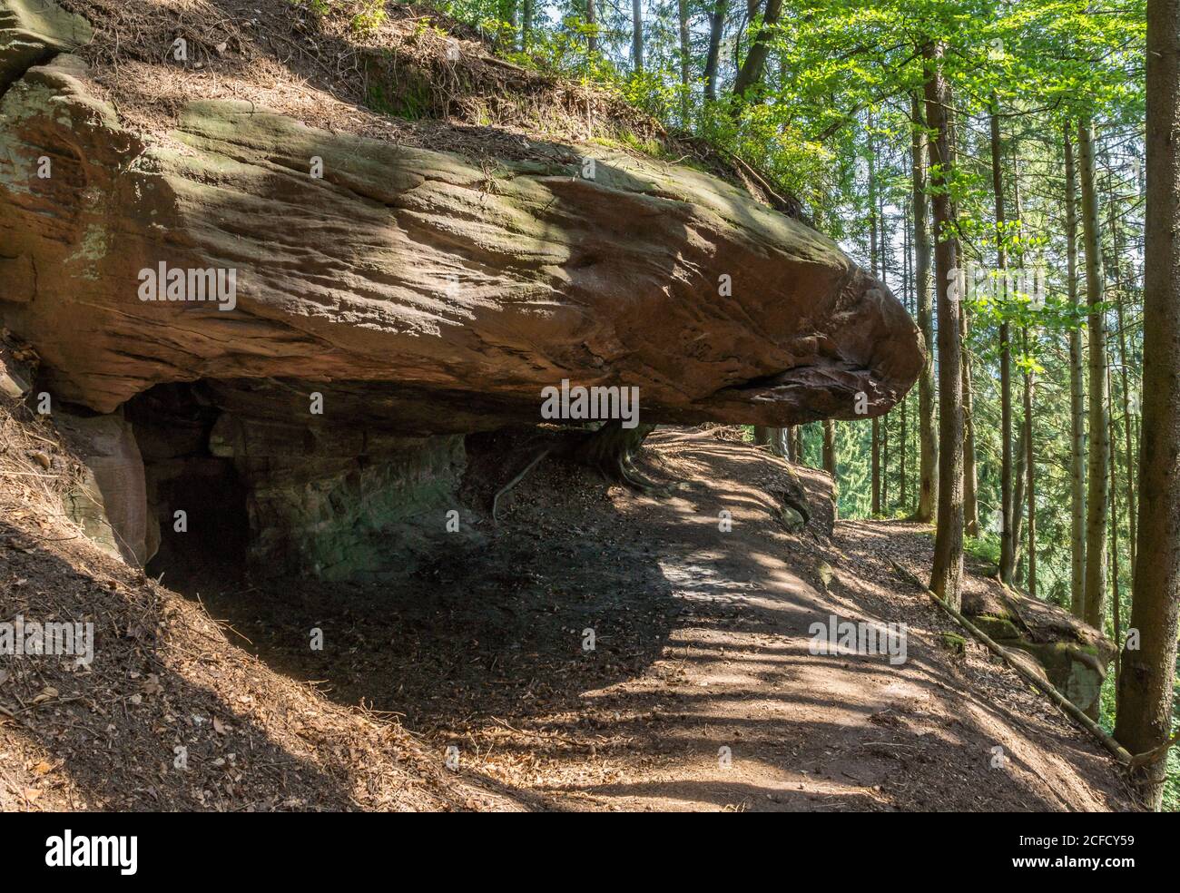 Allemagne, Bade-Wurtemberg, Bad Teinach-Zavelstein, Stubenfelsen, un groupe de roches avec plusieurs roches individuelles sur la pente raide du Nagold Banque D'Images