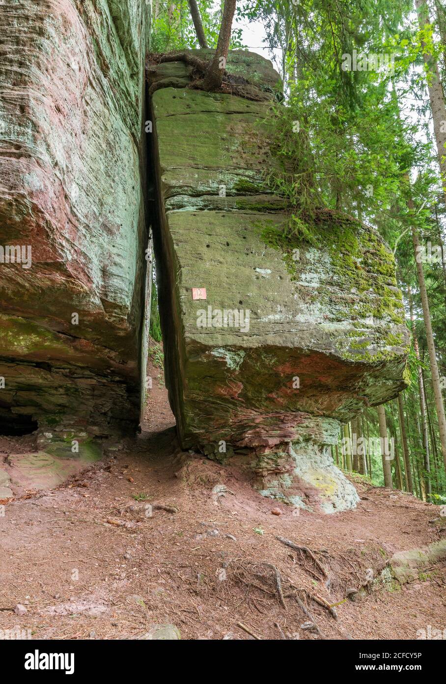 Allemagne, Bade-Wurtemberg, Bad Teinach-Zavelstein, vice à Stubenfelsen, un groupe de roches avec plusieurs roches individuelles sur la pente raide du Banque D'Images