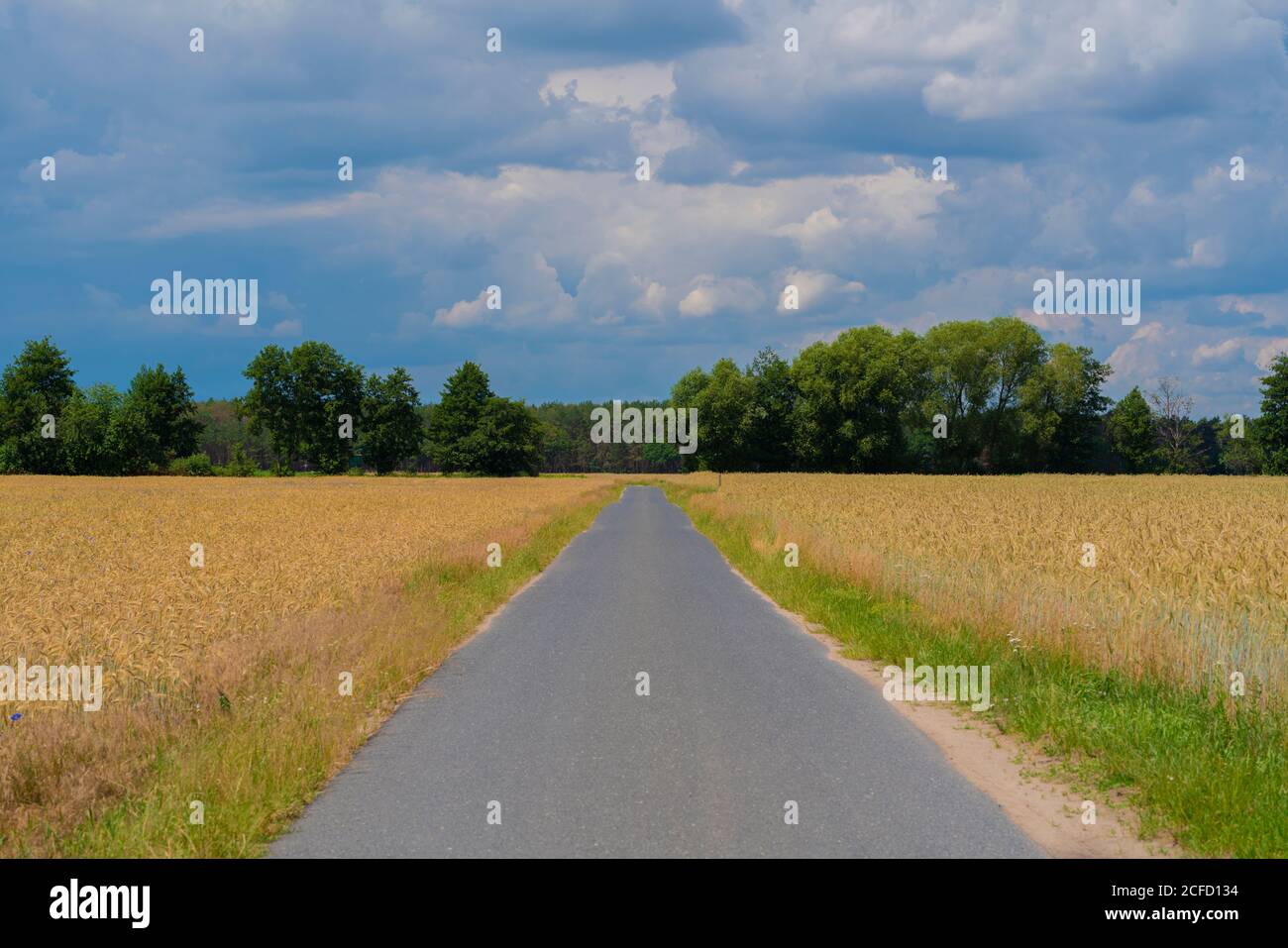 Zone agricole par une journée ensoleillée en été avec de grands nuages, petite route de ferme de campagne entre les champs Banque D'Images