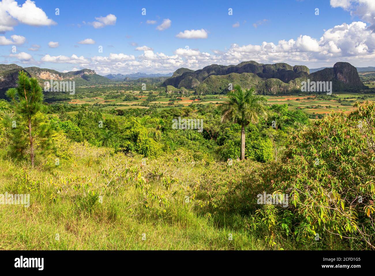 Vue depuis le point de vue de Los Aquaticos sur la vallée de Vinales (Valle de Vinales), province de Pinar del Rio, Cuba Banque D'Images