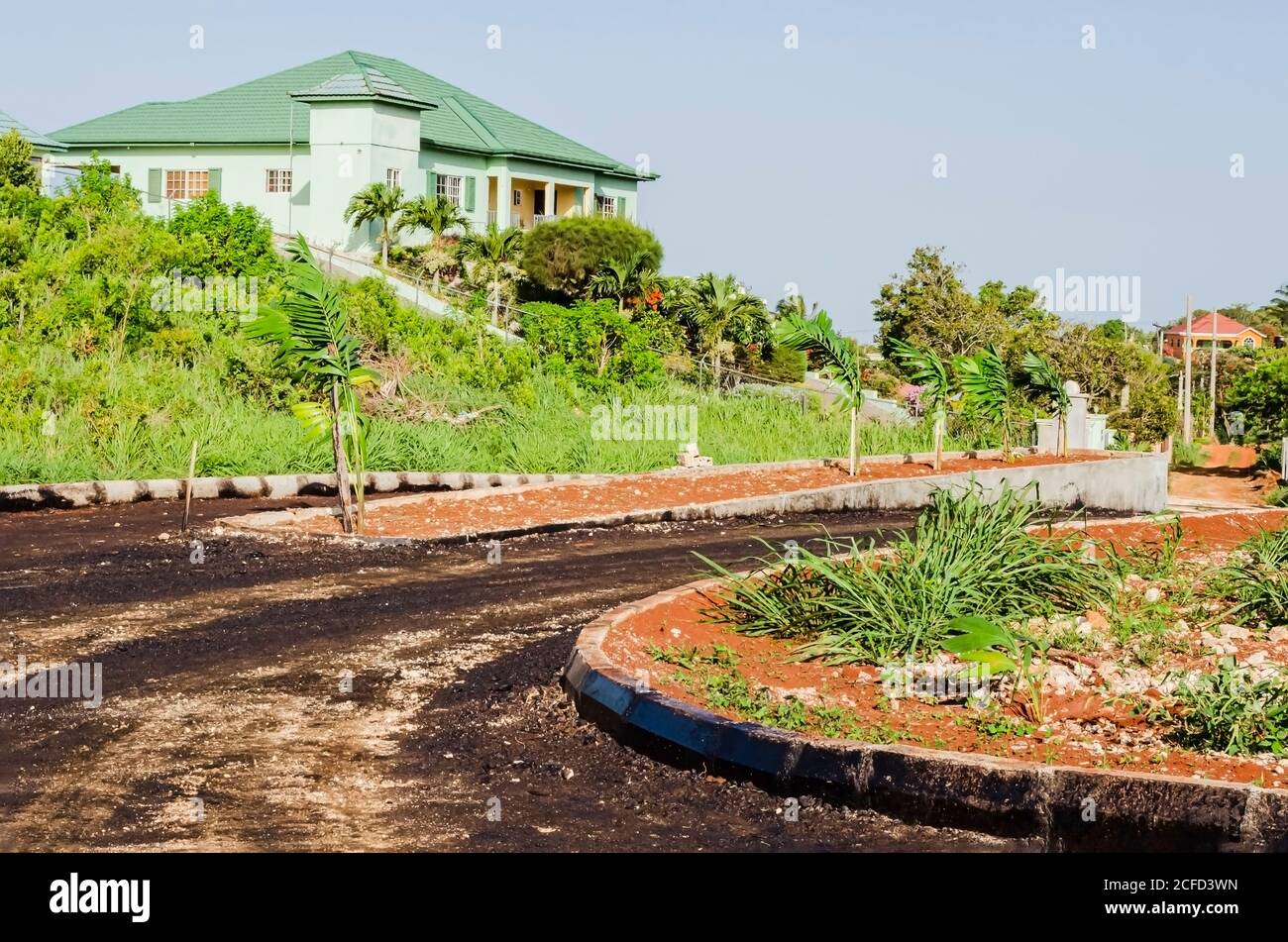 Usines de Palm introduites dans Median Plant Box Banque D'Images