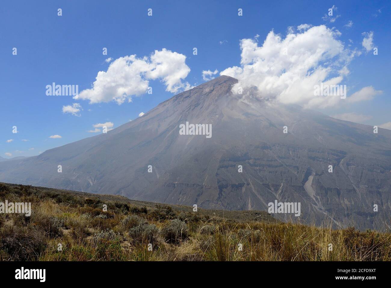 Volcan Misti avec nuages, Salinas et réserve nationale Aguada Blanca, région d'Arequipa, Pérou Banque D'Images