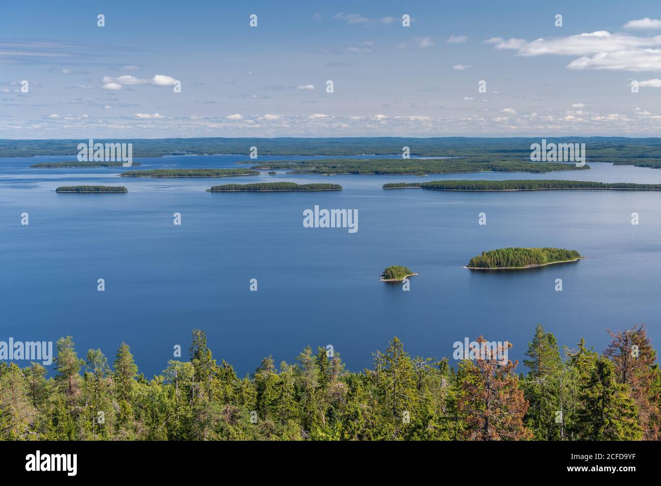 Vue célèbre sur le quartier des lacs de Pielinen, forêt, îles, montagne Koli, parc national Koli, Carélie du Nord, Finlande Banque D'Images