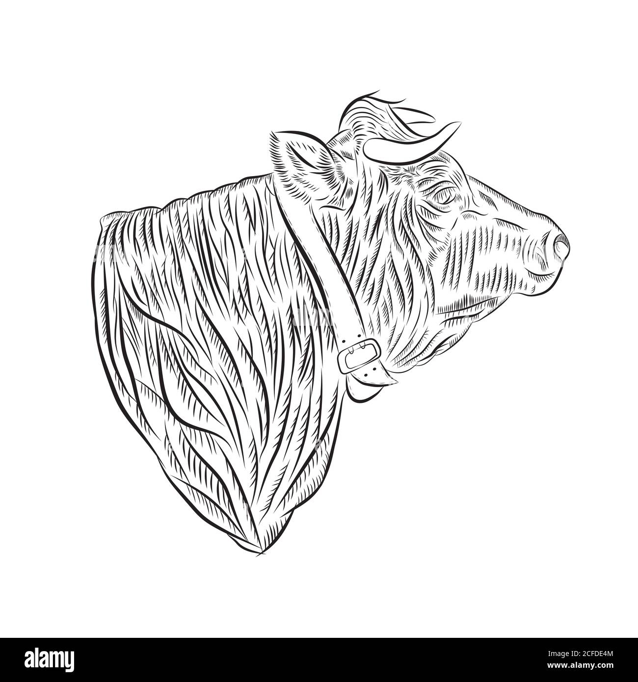 Croquis de la tête d'une vache dans le profil droit avec une ceinture autour du cou illustration vectorielle Banque D'Images