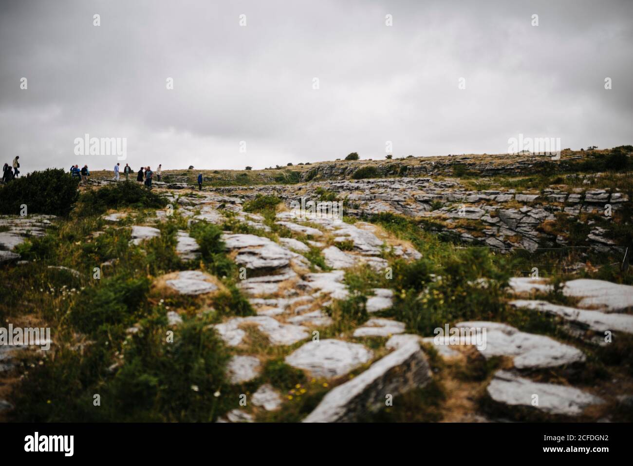 Paysage karstique autour du dolmen de Poulnabrone, Burren Irlande Banque D'Images