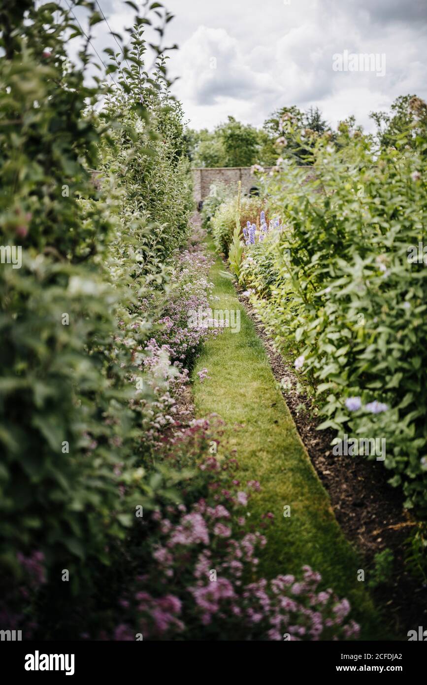 Des lits de fleurs luxuriants dans le jardin de cuisine victorien de Phoenix Park, Dublin, Irlande Banque D'Images