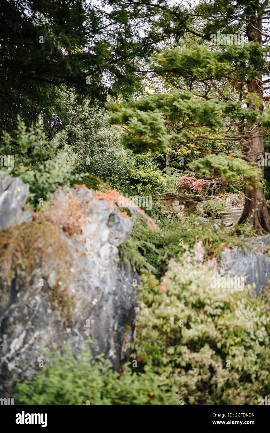 Une table en pierre se trouve dans un jardin luxuriant, dans le parc national de Killarney, en Irlande Banque D'Images