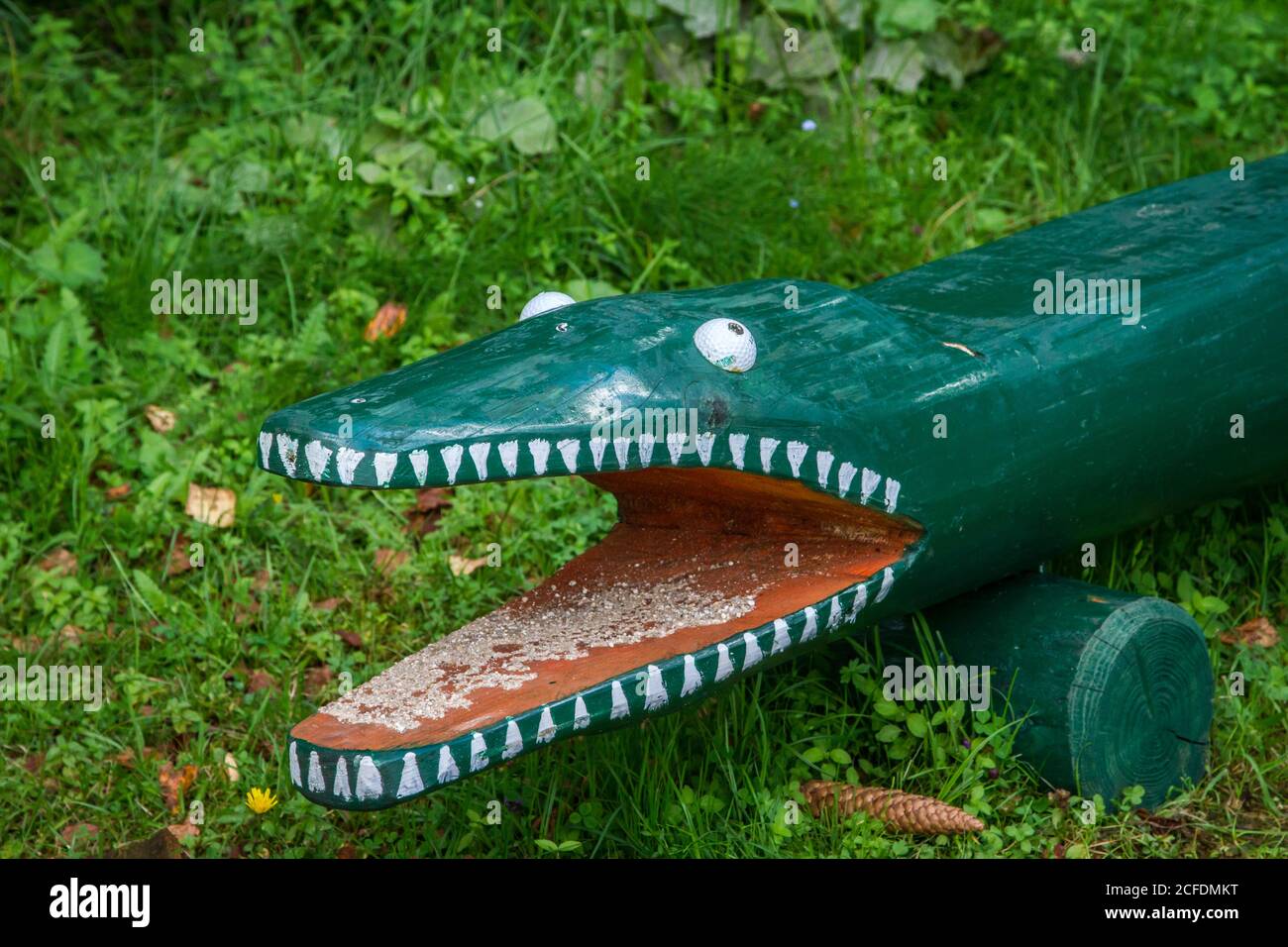 Crocodile en bois au Stierhüblteich - randonnée dans les environs de Karlstift, Waldviertel, Autriche Banque D'Images