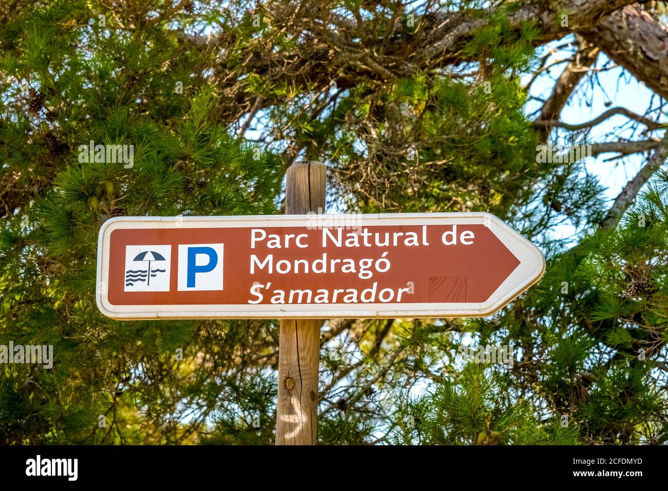 Parc naturel de Mondrago et Plage de s'amador, Parc naturel de Mondrago près de Santanyí, Majorque, Iles Baléares, Espagne Banque D'Images