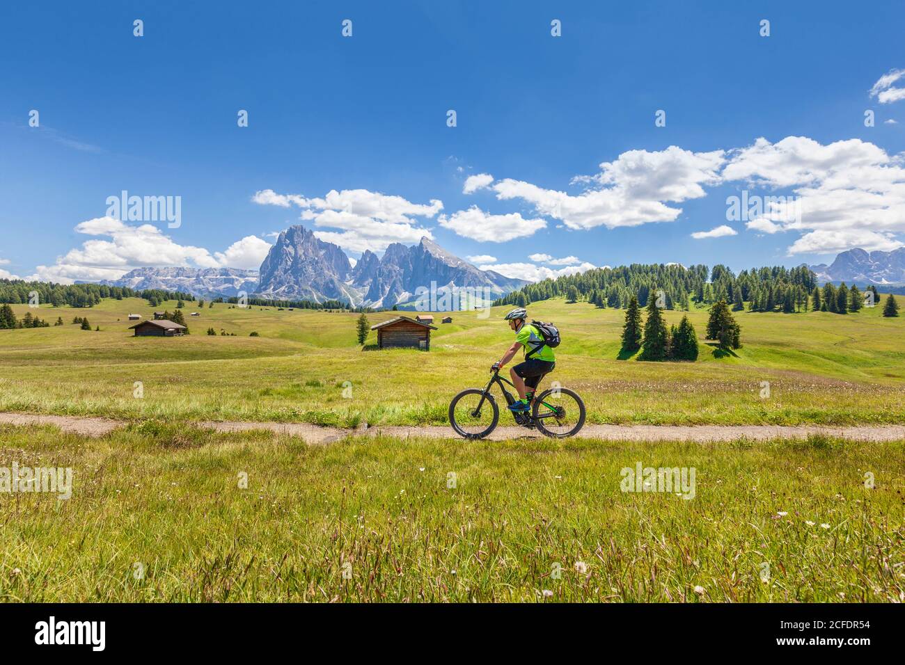 Cycliste avec vélo électrique (e-bike) pédalant à Alpe di Siusi, Seiseralm, Tyrol du Sud, Dolomites, Italie Banque D'Images