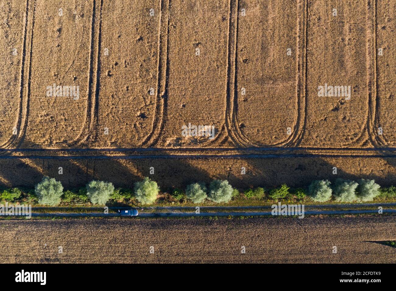 Champ de céréales avec traces de machines agricoles, vu de l'air. Banque D'Images