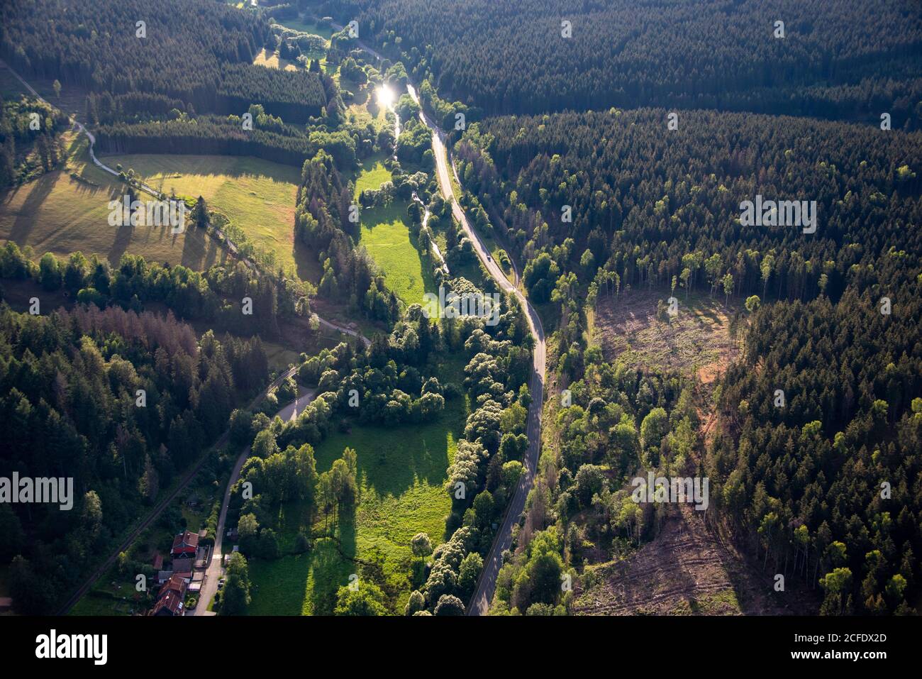 Allemagne, Saxe-Anhalt, Harz, route de campagne, allée forestière, prairies et champs. Banque D'Images