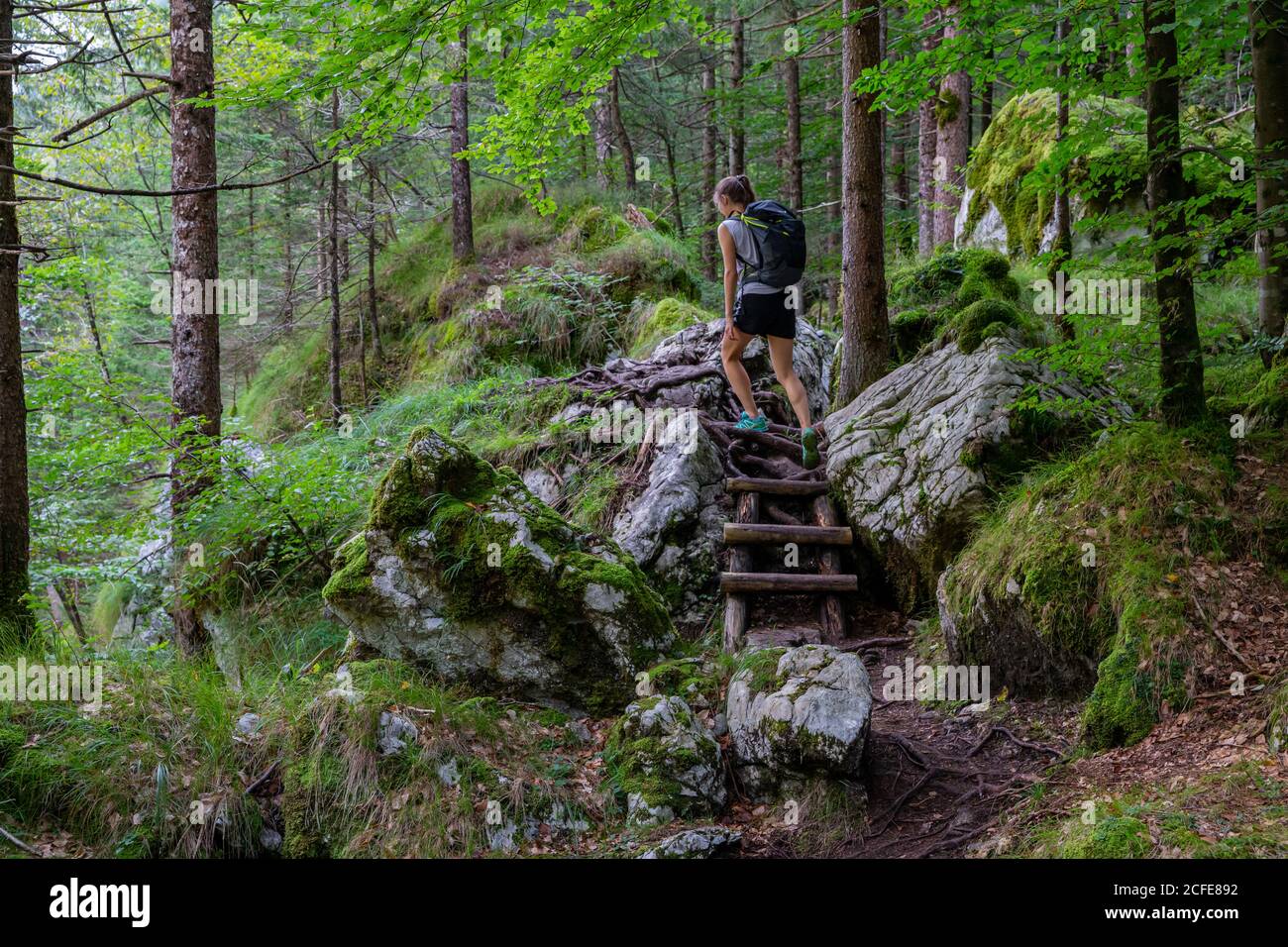 Jeunes femmes randonnées dans la forêt sur le sentier de Soca, arbres, forêt, pierres, rochers, escaliers en bois, Alpes juliennes, Parc National Triglav, Vallée de Soca, Banque D'Images