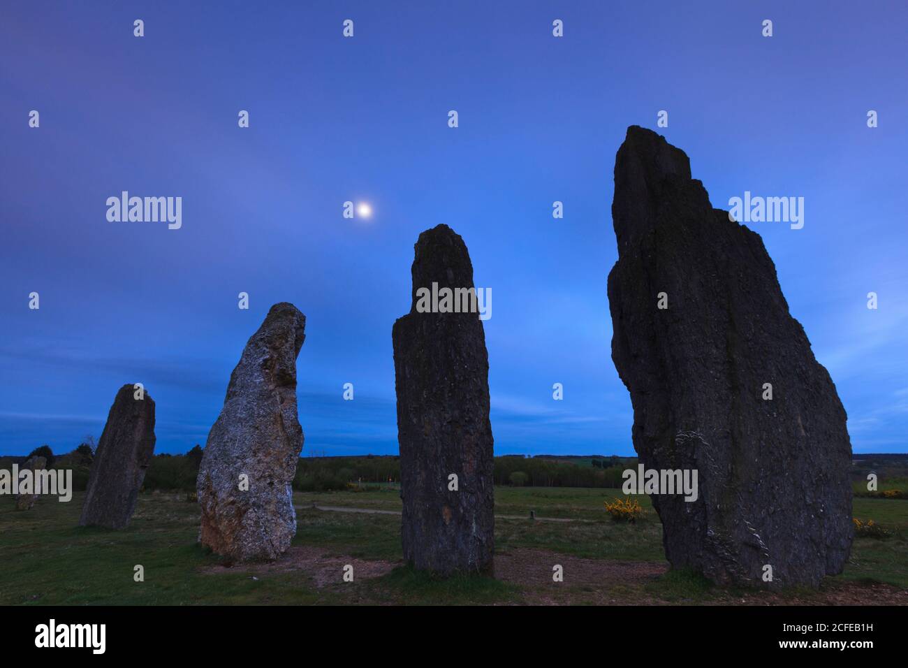 Les rangées de pierres de Saint juste en Bretagne par clair de lune Banque D'Images