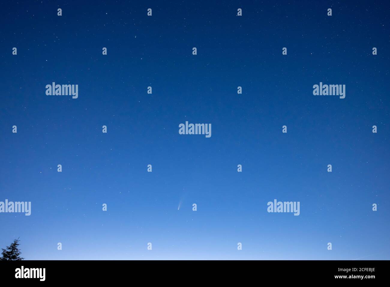 Allemagne, Bade-Wurtemberg, Forêt Noire, Hornisgrinde, C / 2020 F3 (NEOWISE) une comète qui a été observée à l'été 2020. Banque D'Images